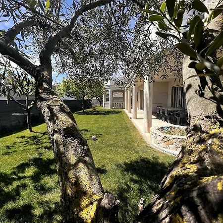 Saint-Laurent d’Aigouze : appartement avec jardin Extérieur photo
